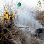 Se mantiene a la baja superficie afectada por incendios forestales en Chiapas