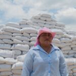 Alimentación para el Bienestar logra el mayor acopio de maíz de los últimos siete ciclos agrícolas