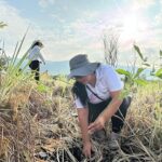 TecNM Campus Cintalapa se suma a la Jornada Nacional de Reforestación 2026