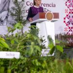 Presidenta Claudia Sheinbaum presenta la Jornada Nacional de Reforestación 2026; y se plantarán 6.6 millones de árboles y plantas